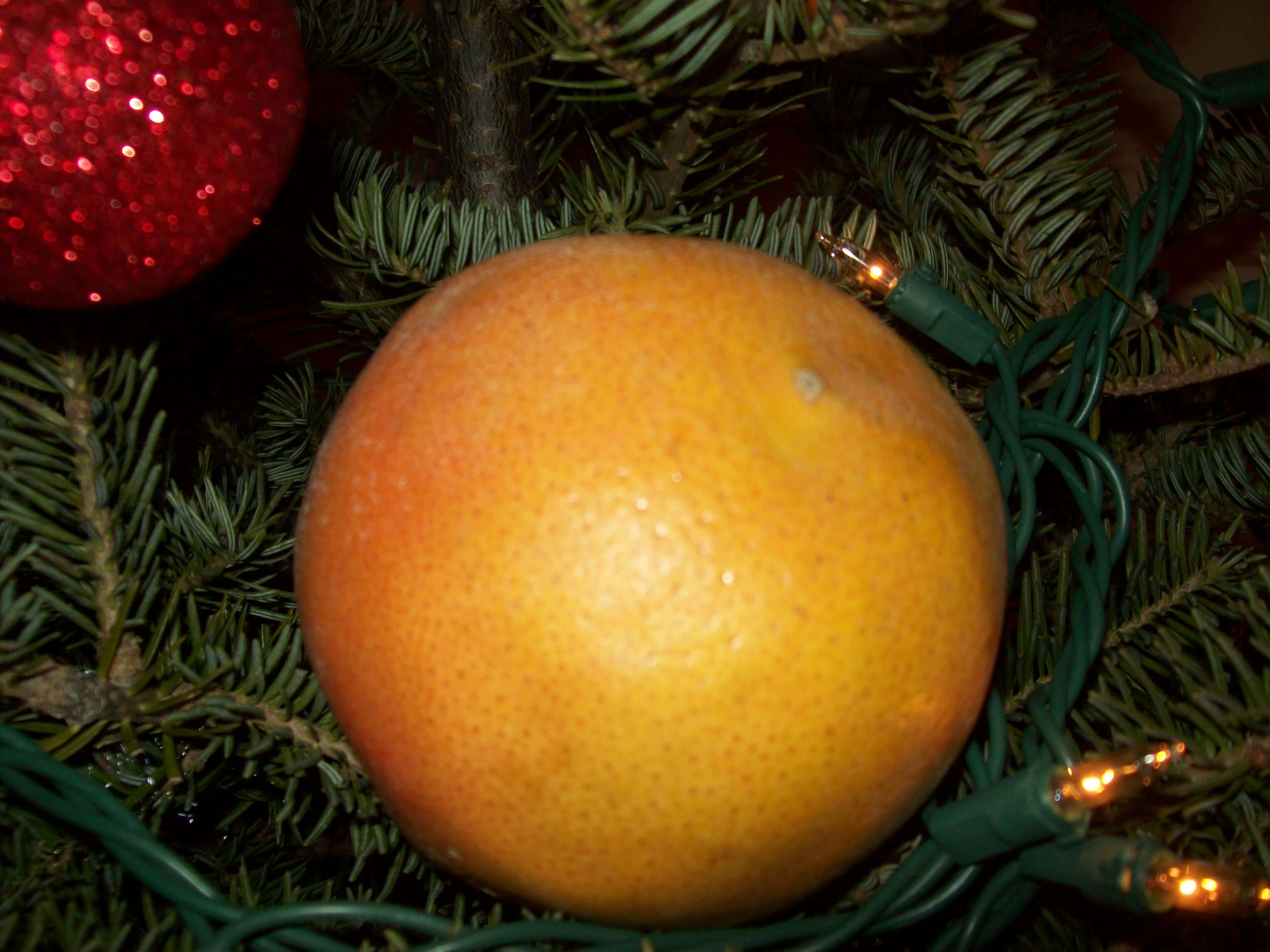 seasonal grapfruit