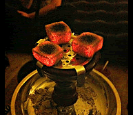hookah-coals-guide
