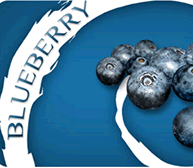 hookah-hookah-blueberry