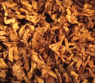 traditional-tobacco
