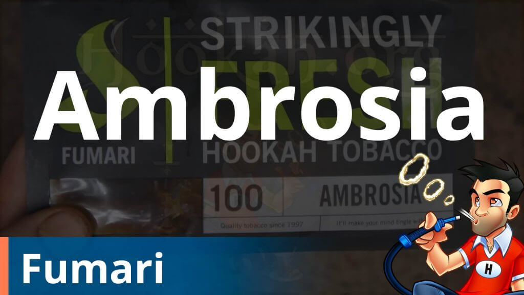 Fumari Ambrosia Shisha Review