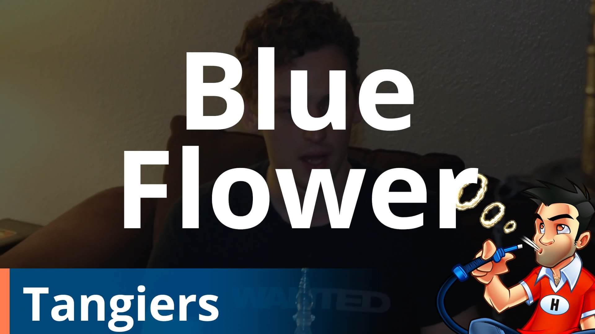 Tangiers Blue Flower Shisha Review